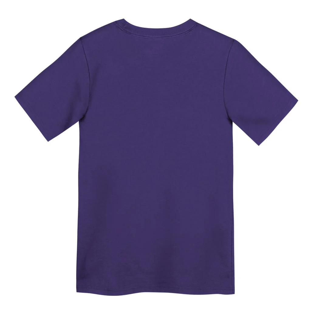 MLB Arizona Diamondbacks Kids Nike 2025 City Connect Logo T-shirt - Purple - Image 3