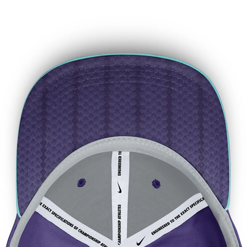 MLB Arizona Diamondbacks Nike Serpientes City Connect Dri-Fit Fitted Hat - Purple - Image 5