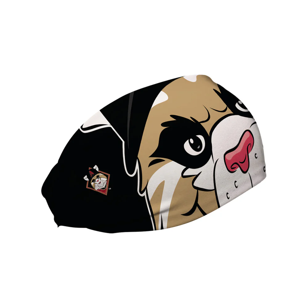 MLB Arizona Diamondbacks Vertical Athletics Mascot Stare Headband - Image 2