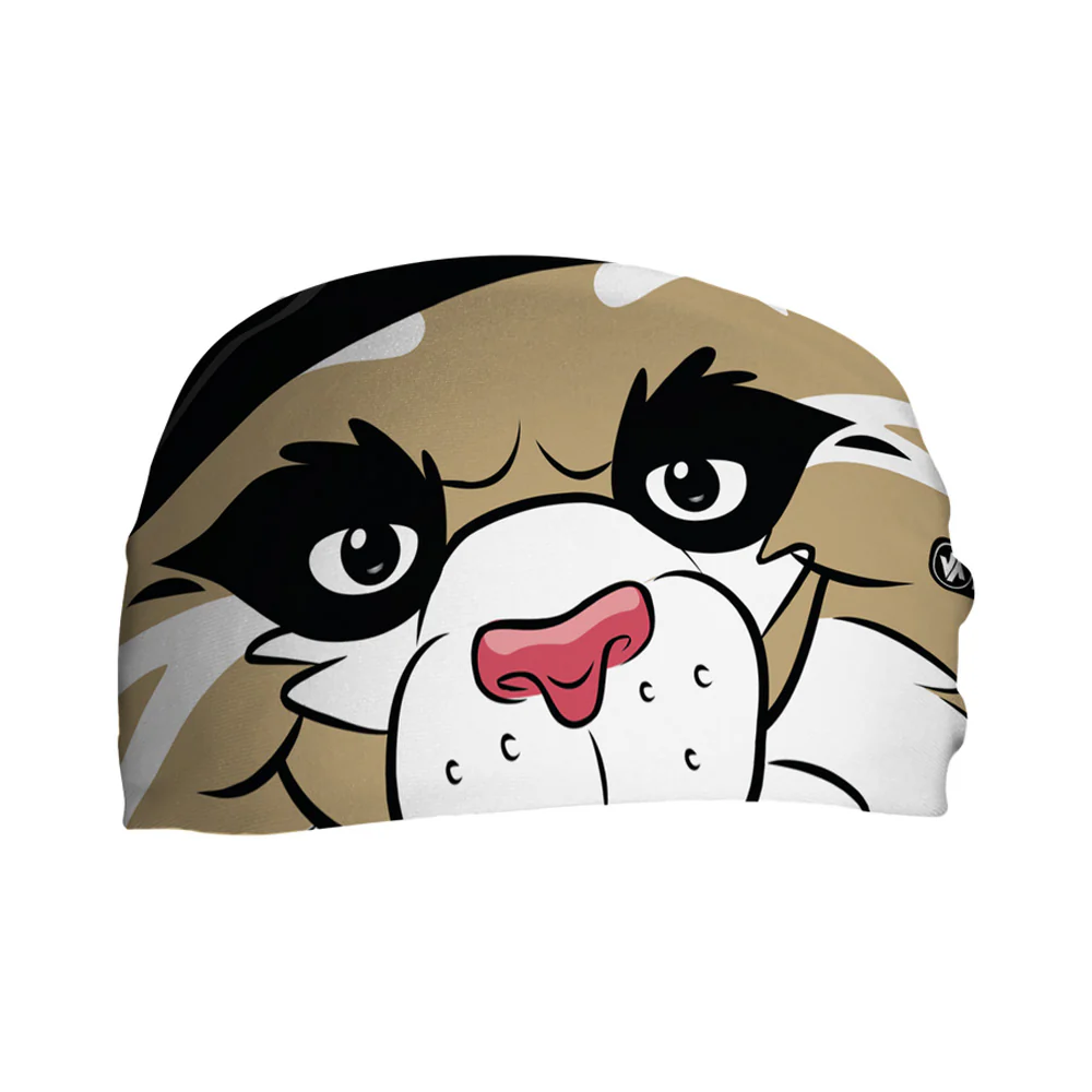 MLB Arizona Diamondbacks Vertical Athletics Mascot Stare Headband - Image 3