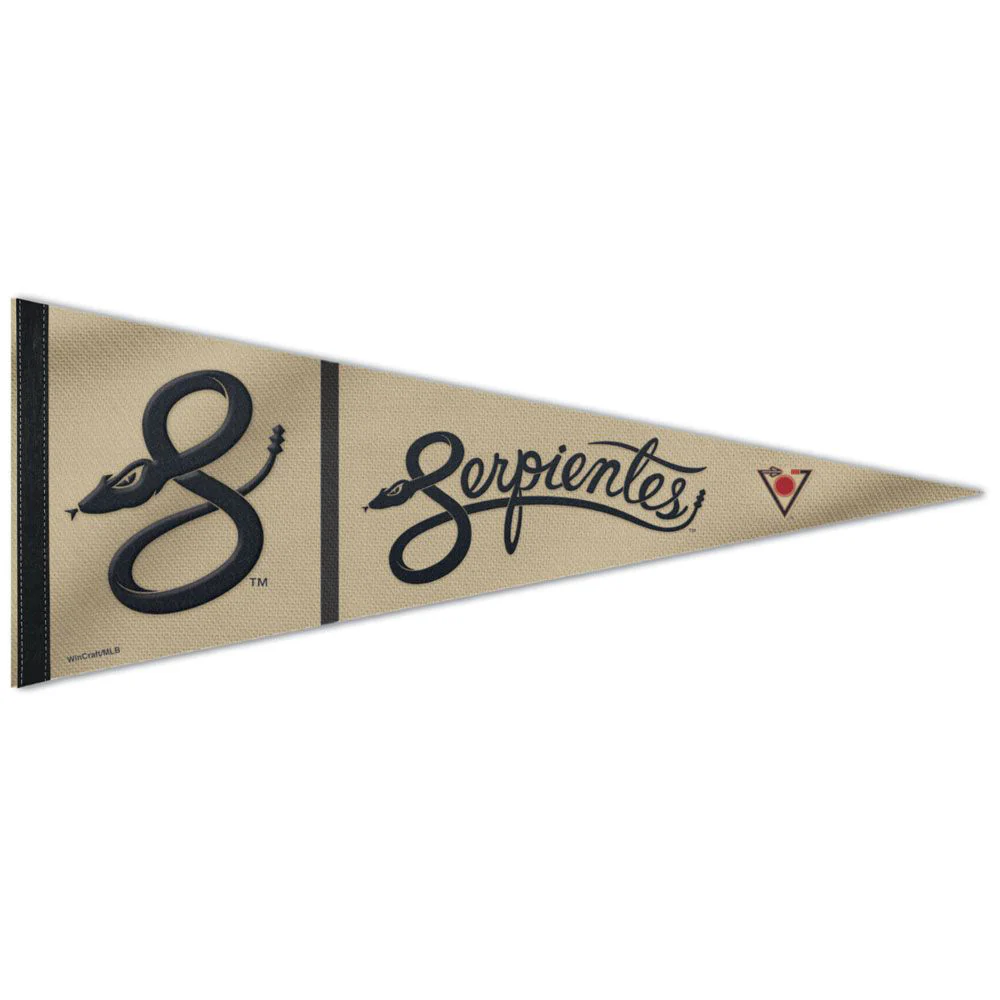 MLB Arizona Diamondbacks WinCraft City Connect Premium Pennant