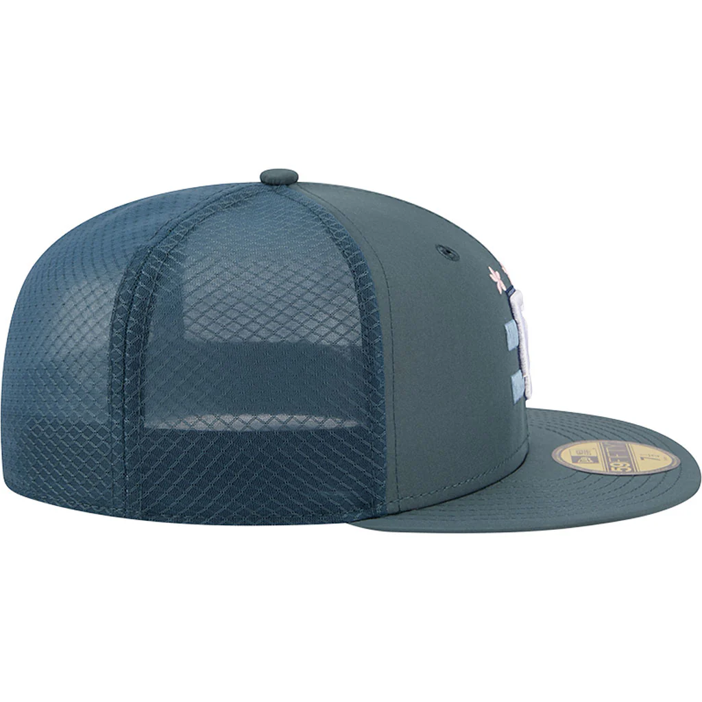 MLB Washington Nationals New Era City Connect Batting Practice 59FIFTY Fitted Hat - Gray - Image 5