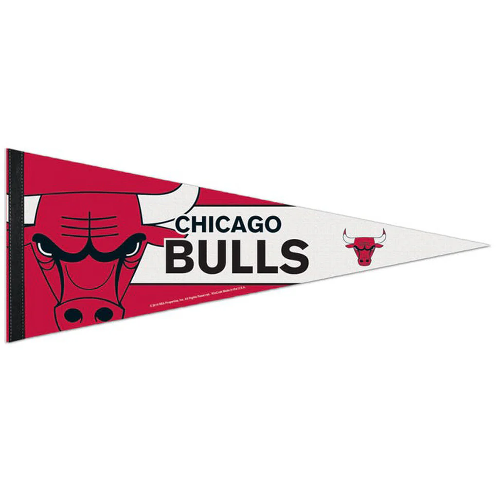 NBA Chicago Bulls WinCraft Stripe Premium Pennant - Red