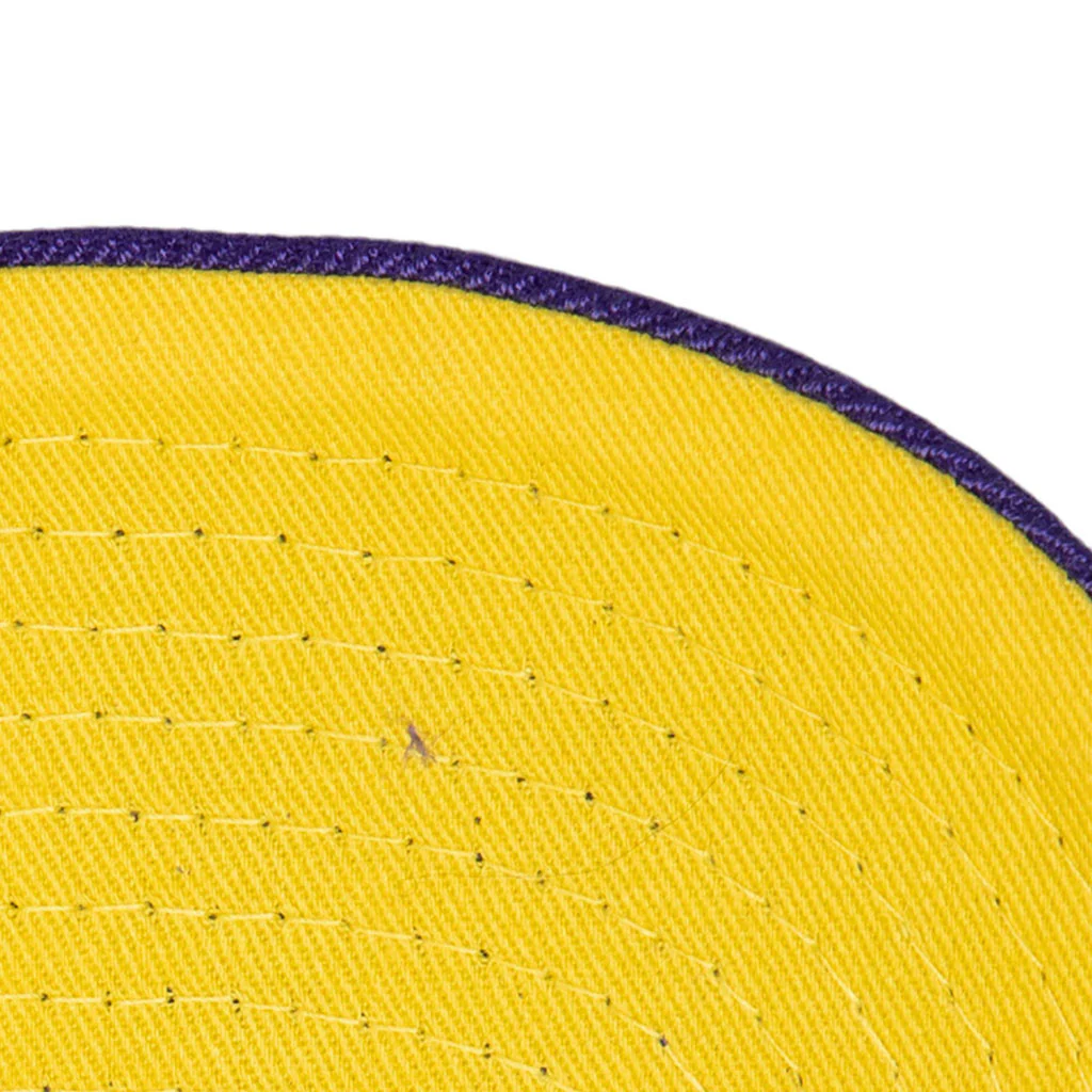 NBA Los Angeles Lakers Mitchell & Ness Chain Gang Snapback Hat - Purple - Image 4