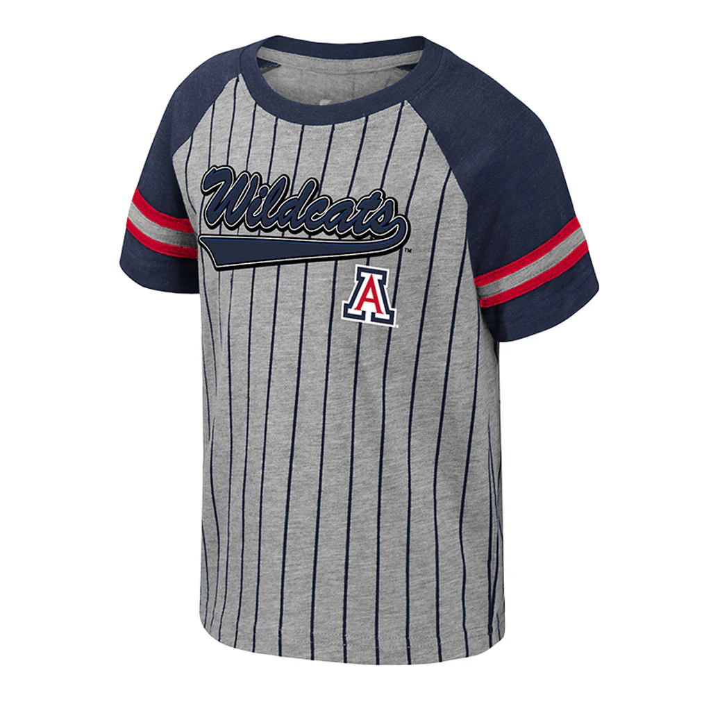 NCAA Arizona Wildcats Colosseum Toddler Fire Hawk T-Shirt - Gray