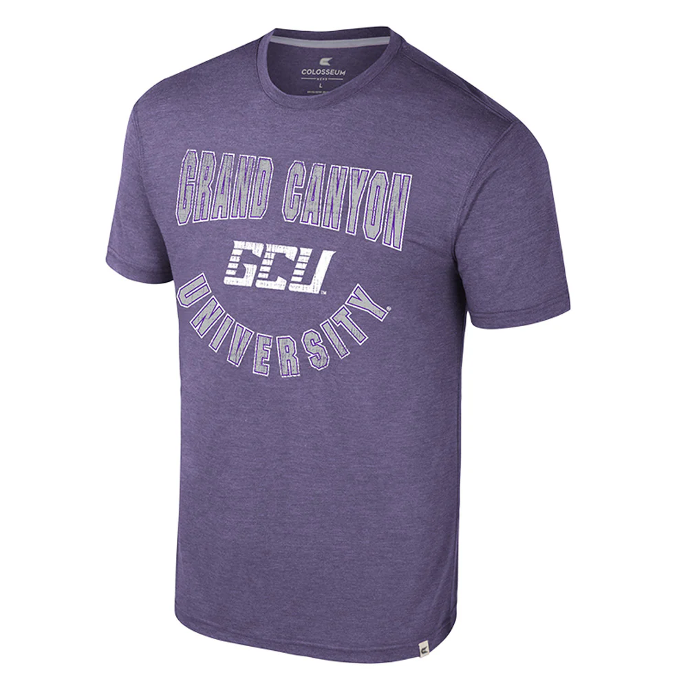 NCAA Grand Canyon Antelopes Colosseum Virtual Reality T-Shirt - Purple