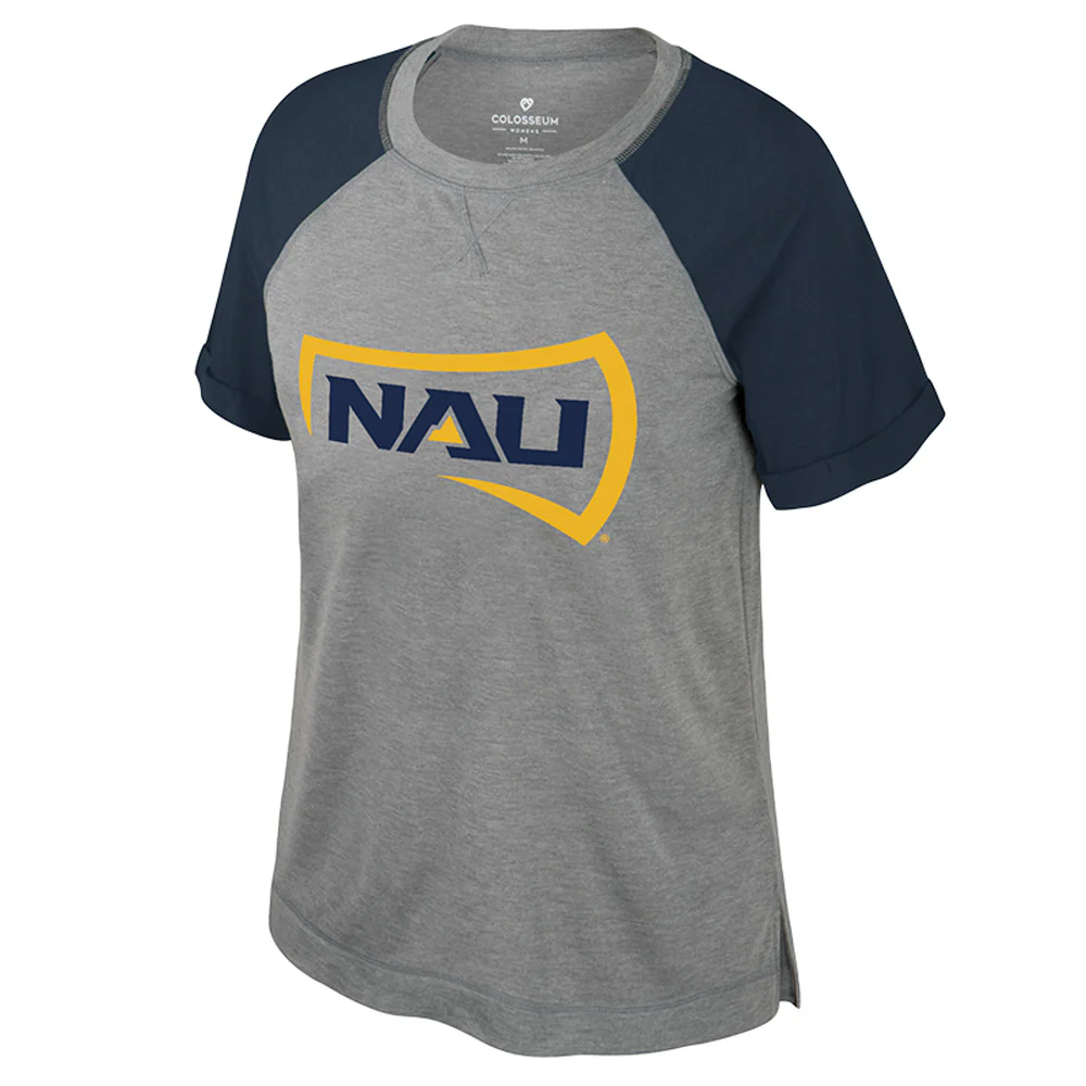 NCAA Northern Arizona Lumberjacks Women's Colosseum Portia Colorblock T-Shirt - Gray
