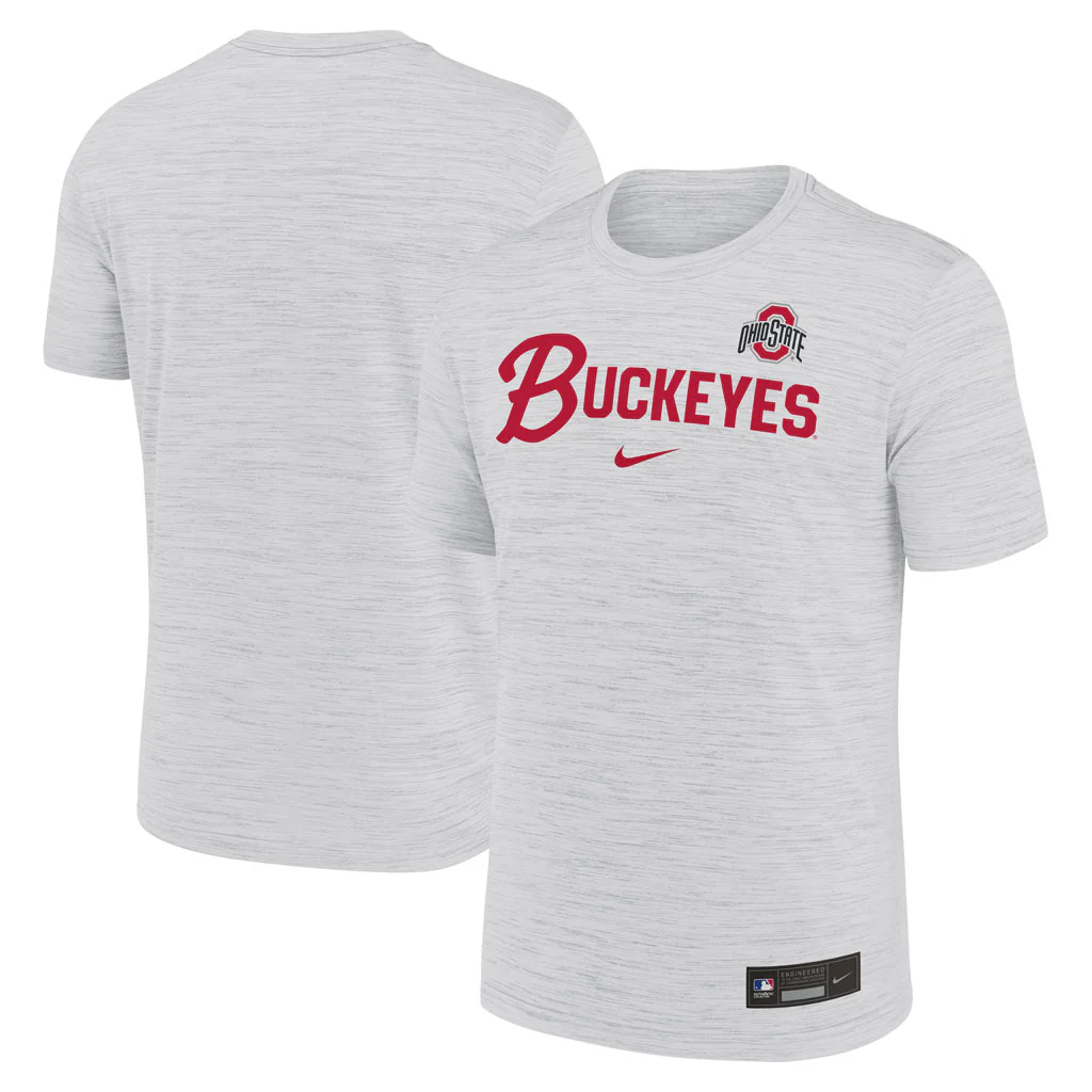 NCAA Ohio State Buckeyes Nike Script Velocity T-Shirt - White