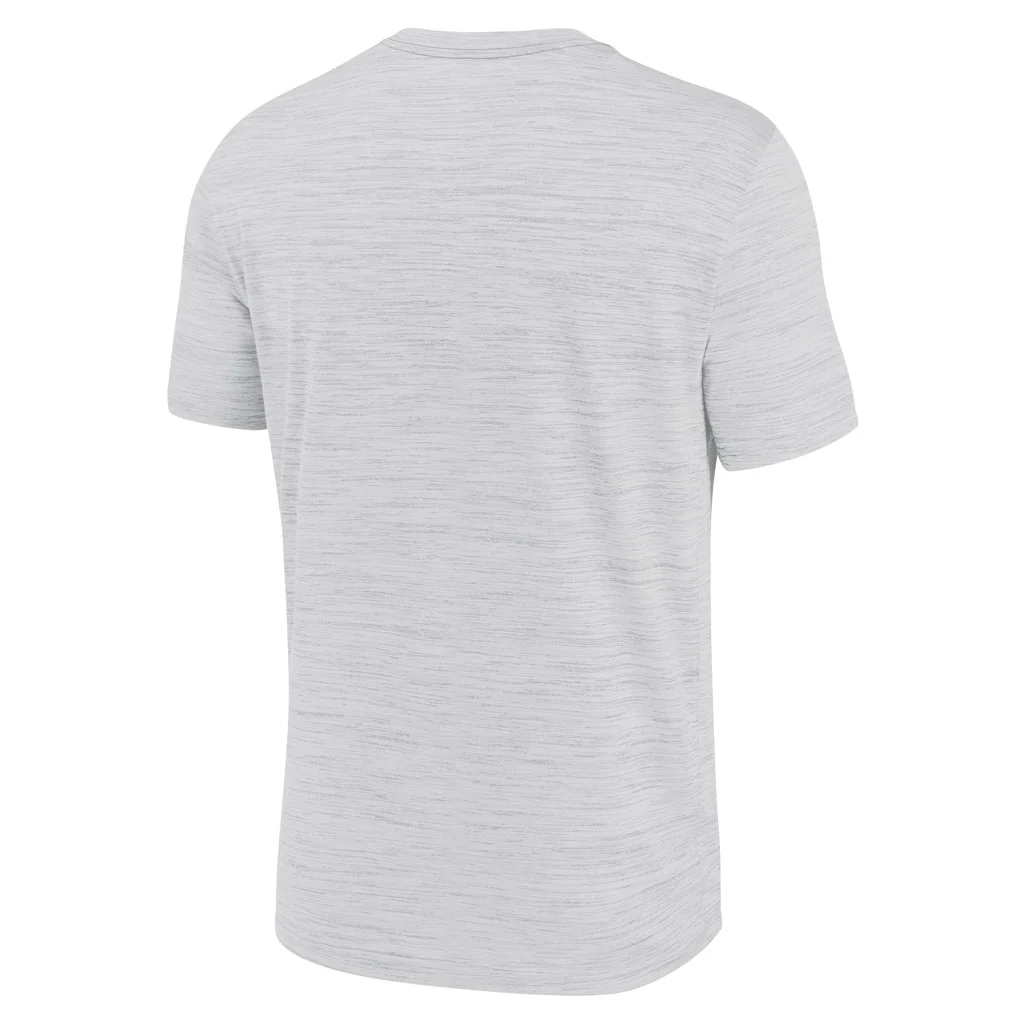 NCAA Ohio State Buckeyes Nike Script Velocity T-Shirt - White - Image 3