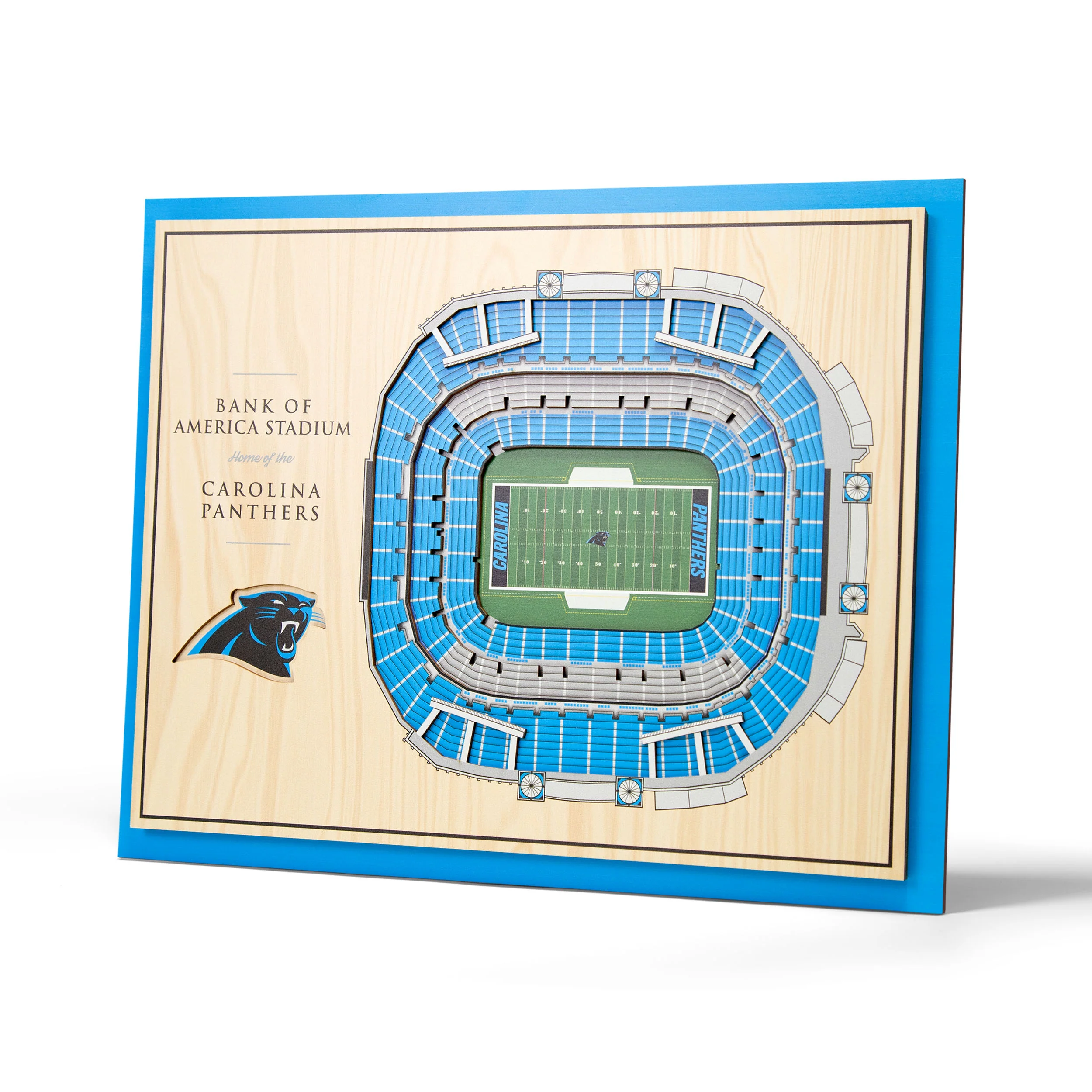 NFL Carolina Panthers You the fan 5-Layer Stadium View Wall Art