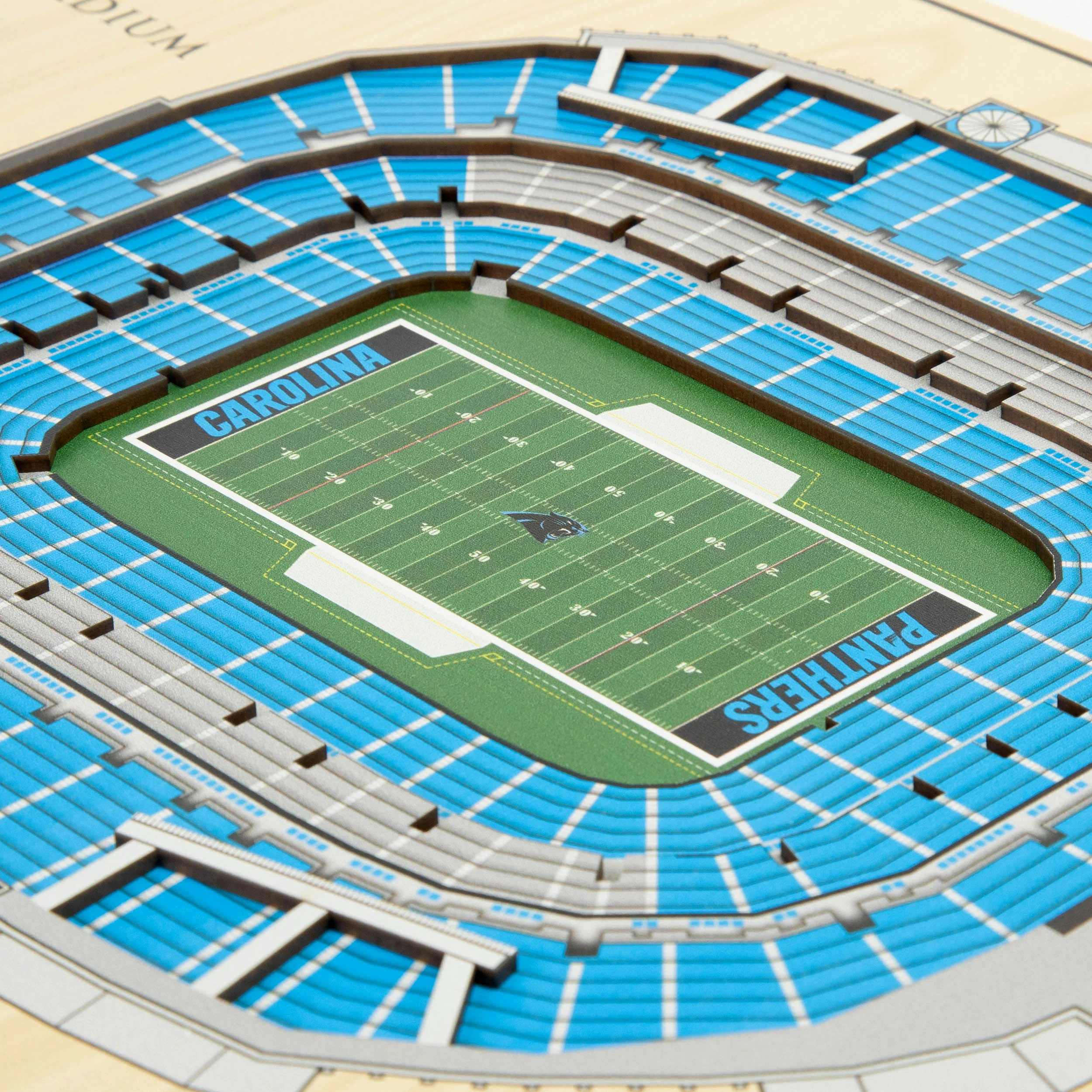NFL Carolina Panthers You the fan 5-Layer Stadium View Wall Art - Image 3