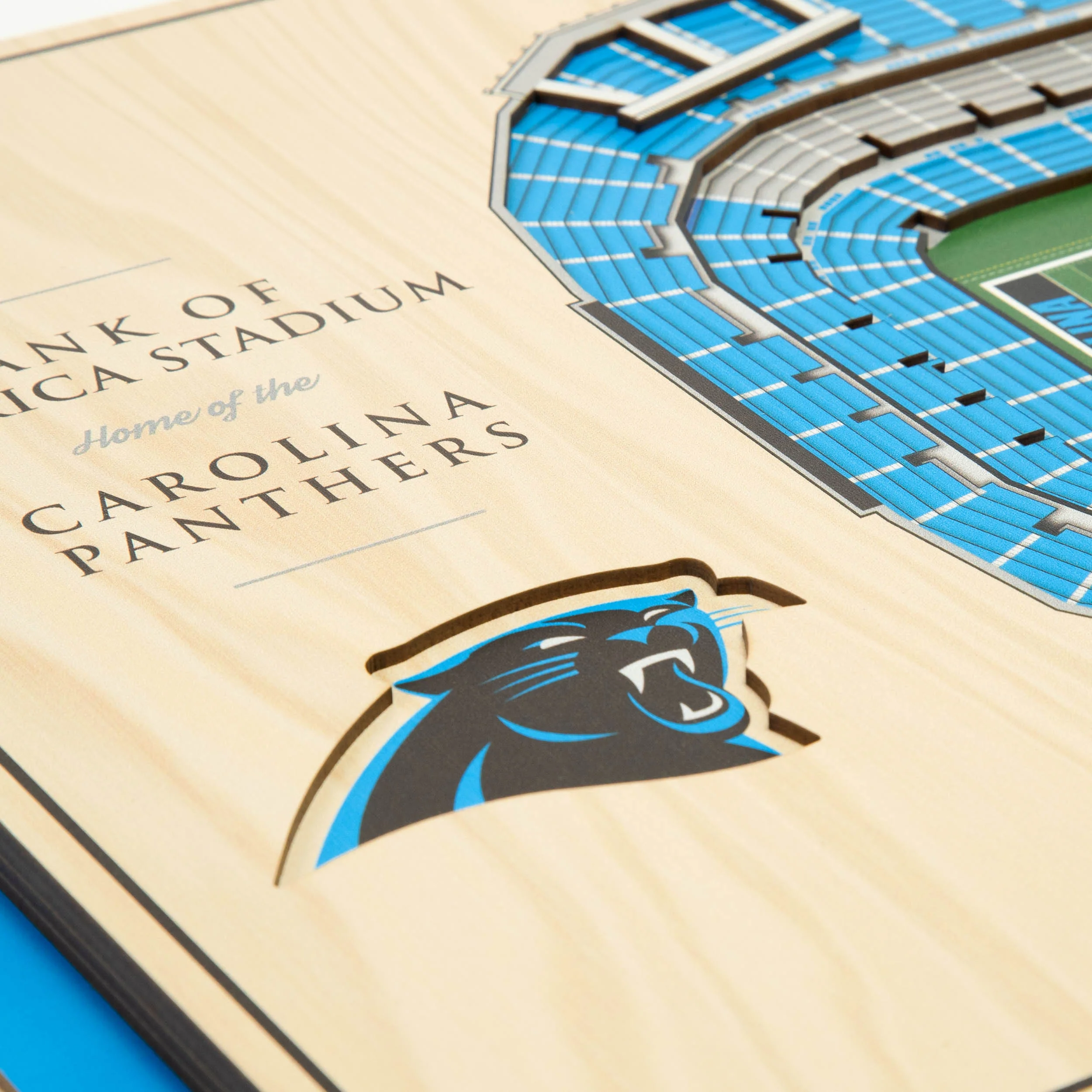 NFL Carolina Panthers You the fan 5-Layer Stadium View Wall Art - Image 4