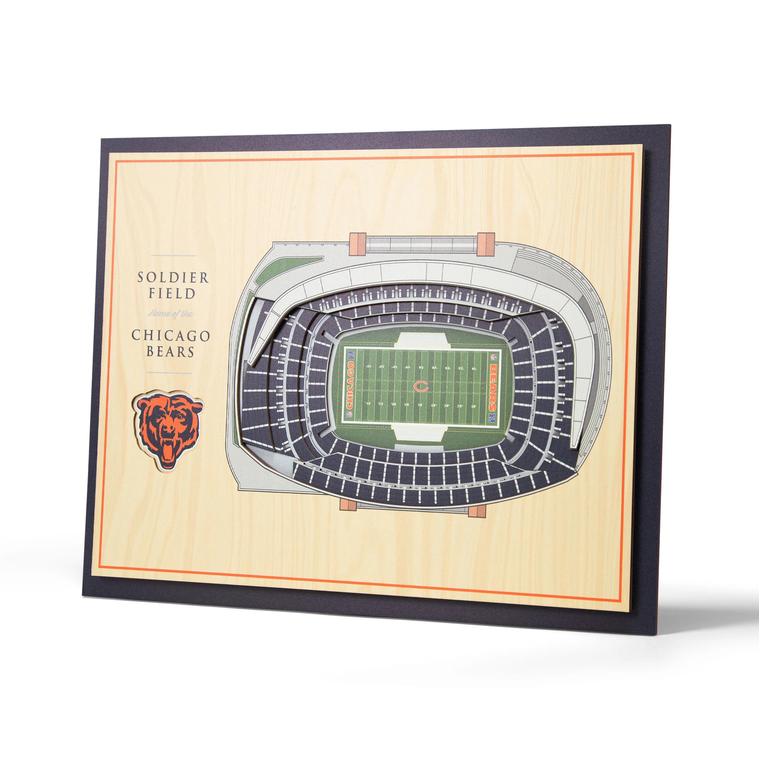 NFL Chicago Bears You the fan 5-Layer Stadium View Wall Art