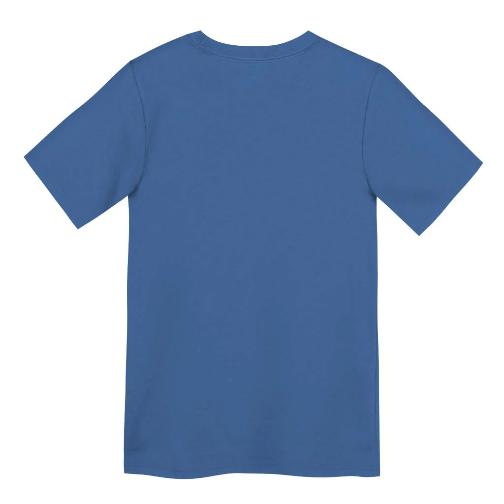 NFL Detroit Lions Toddler Nike Logo T-Shirt - Blue - Image 3
