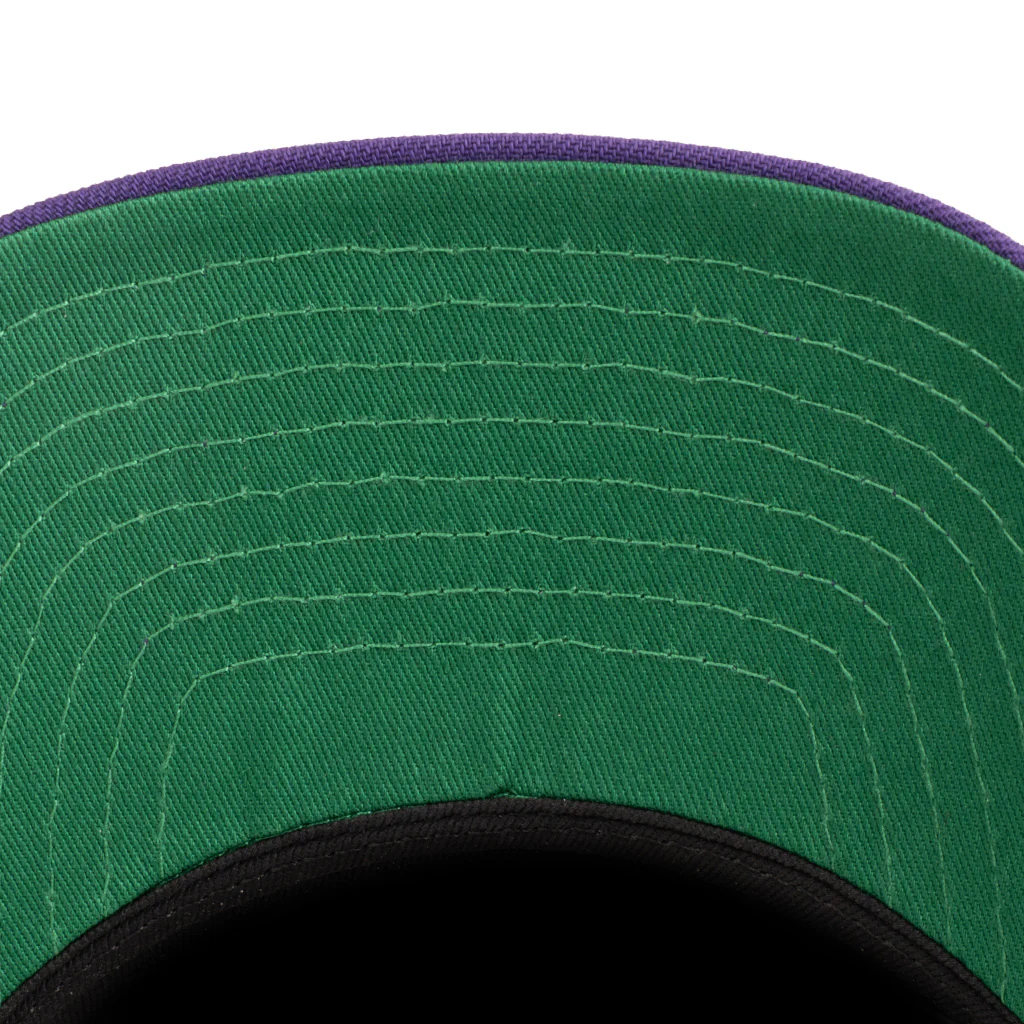 NFL Minnesota Vikings New Era Two-Tone Primary Team Color Stone 9FIFTY A-Frame Snapback Hat - Stone - Image 3