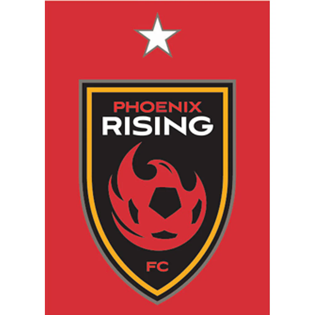 Phoenix Rising WinCraft 3x4 Magnet With Star - Red